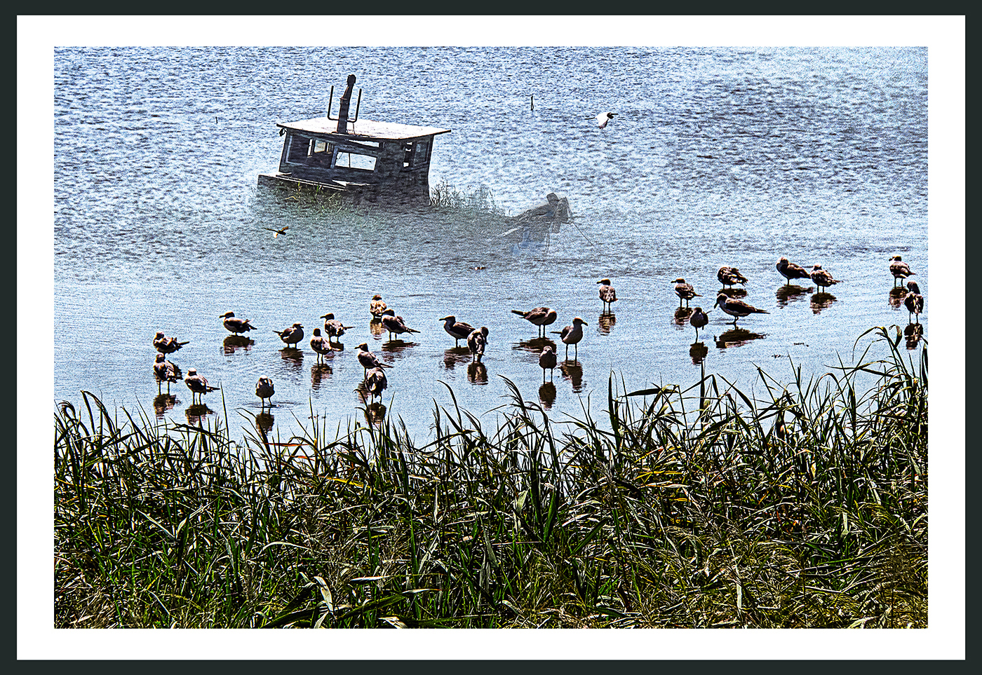 PHOTO BY  | ILCE-6500 | 2024:08:30 10:56:07 | ISO-160 | 1/800 sec | f 14 | 200 mm | EV=-3.3 | ● WIDTH:1400 pixels  HEIGHT:963 pixels