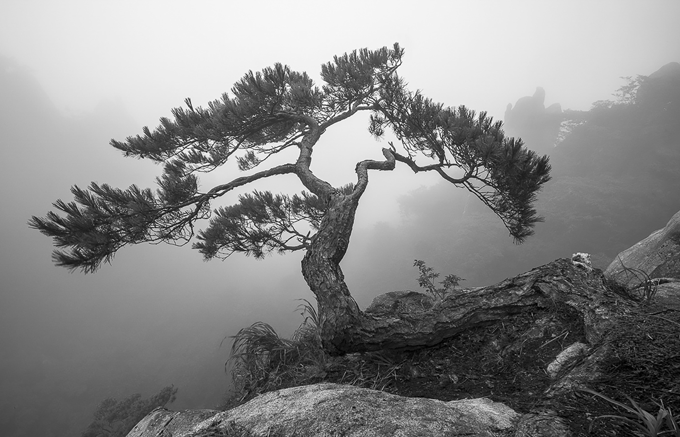 PHOTO BY  | NIKON D850 | 2024:08:26 06:00:31 | ISO-64 | 1/1 sec |  |  | EV=-1 | ● WIDTH:1400 pixels  HEIGHT:900 pixels