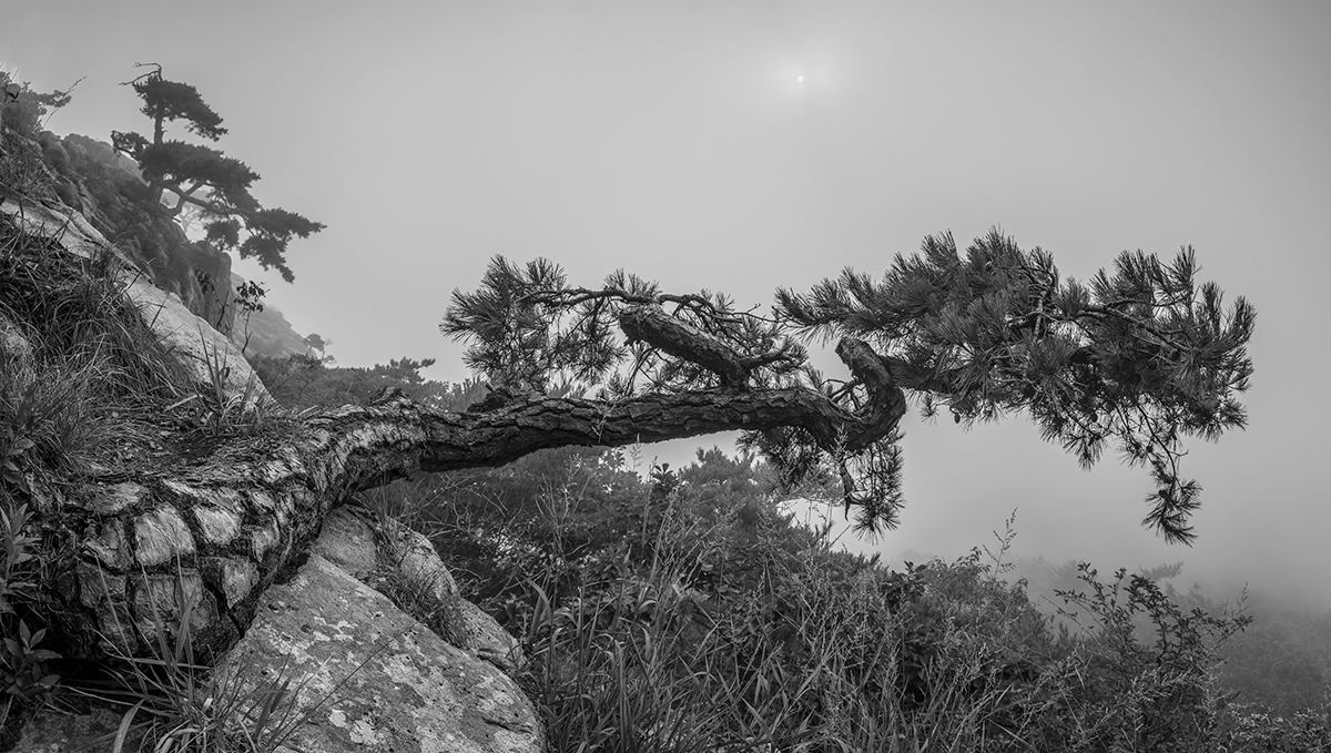 PHOTO BY  | NIKON D850 | 2024:08:26 07:06:28 | ISO-64 | 1/125 sec | f 8 | 17 mm | EV=-1 | ● WIDTH:1200 pixels  HEIGHT:679 pixels