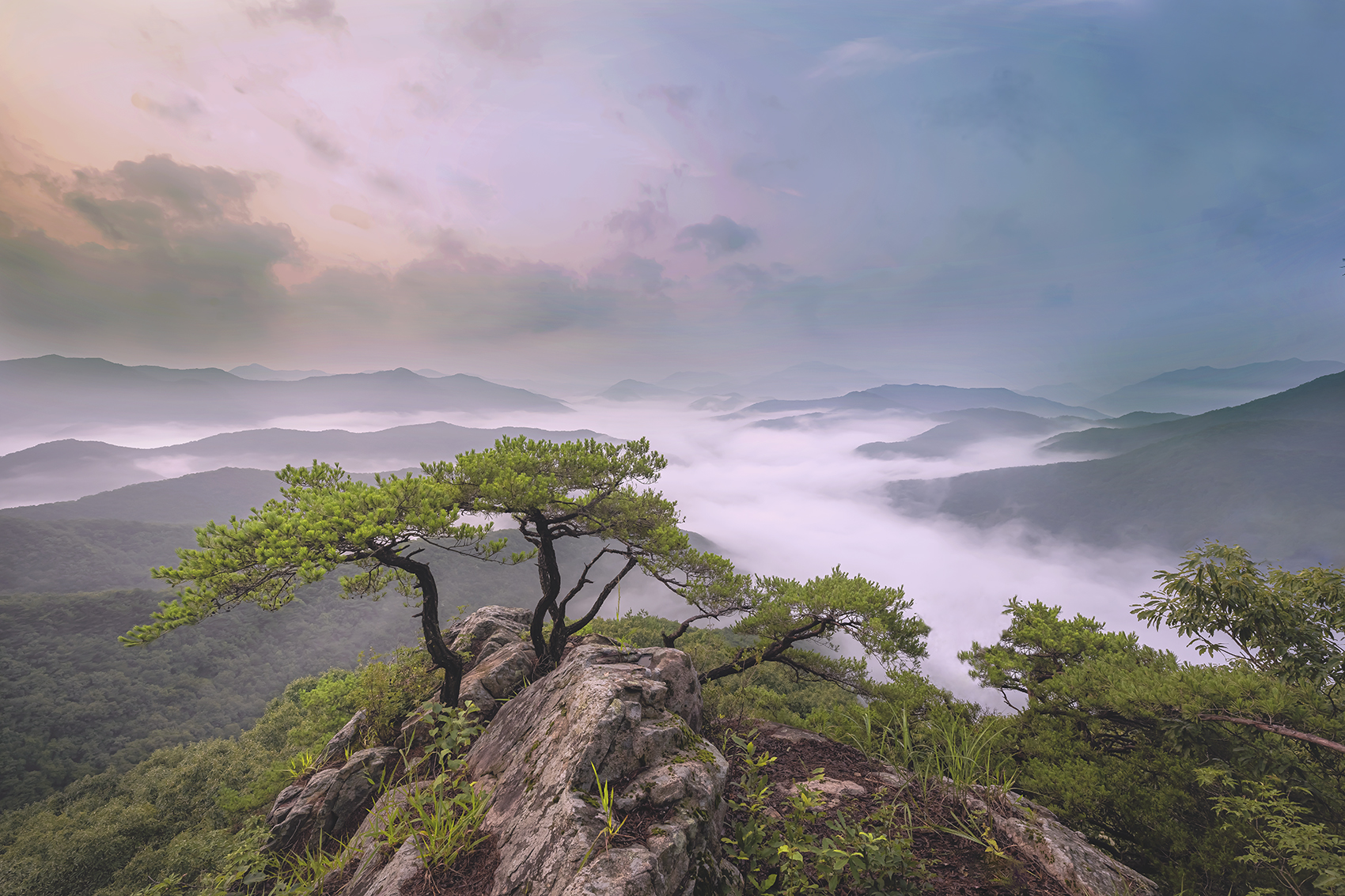 PHOTO BY  | NIKON Z 7_2 | 2024:07:13 05:55:41 | ISO-100 | 1/20 sec | f 11 | 14 mm | EV=0 | ● WIDTH:1700 pixels  HEIGHT:1133 pixels