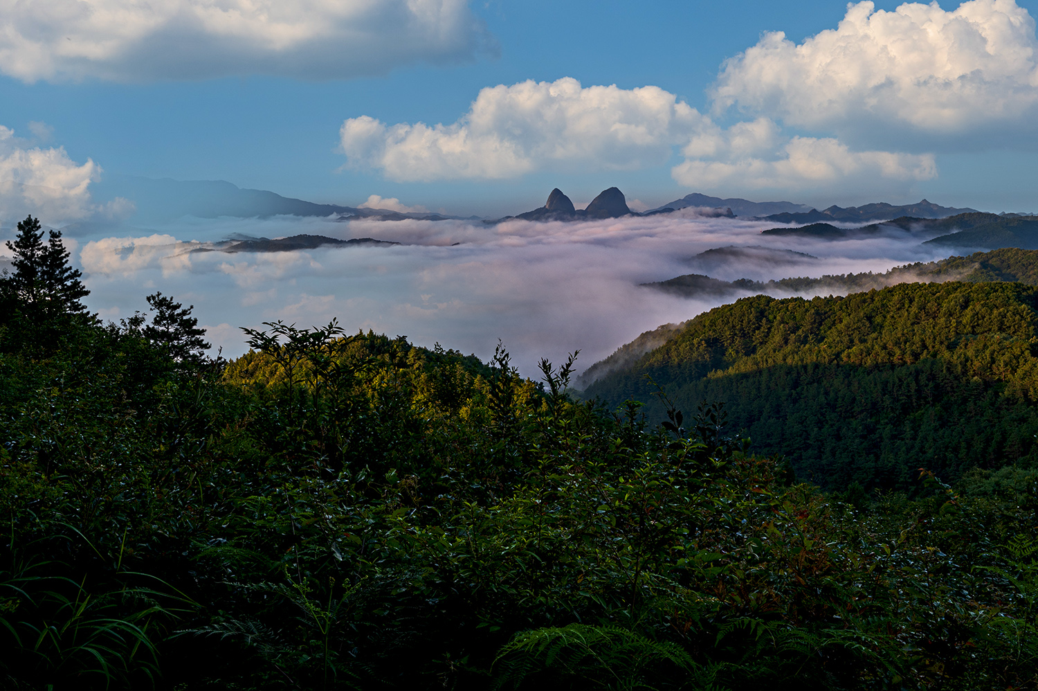 PHOTO BY  | NIKON Z 6_2 | 2024:08:19 06:24:55 | ISO-200 | 1/30 sec | f 16 | 26 mm | EV=-0.3 | ● WIDTH:1500 pixels  HEIGHT:998 pixels