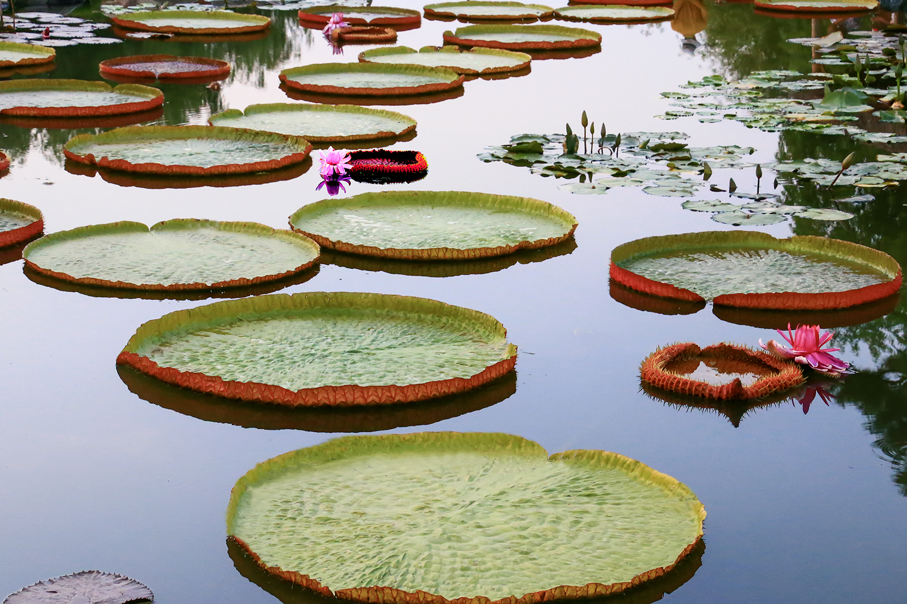 PHOTO BY ChoiJunqSeop | Canon EOS-1D X Mark II | 2024:08:30 12:26:46 | ISO-800 | 1/1600 sec | f 6.3 | 270 mm | EV=0 | ● WIDTH:1800 pixels  HEIGHT:1200 pixels