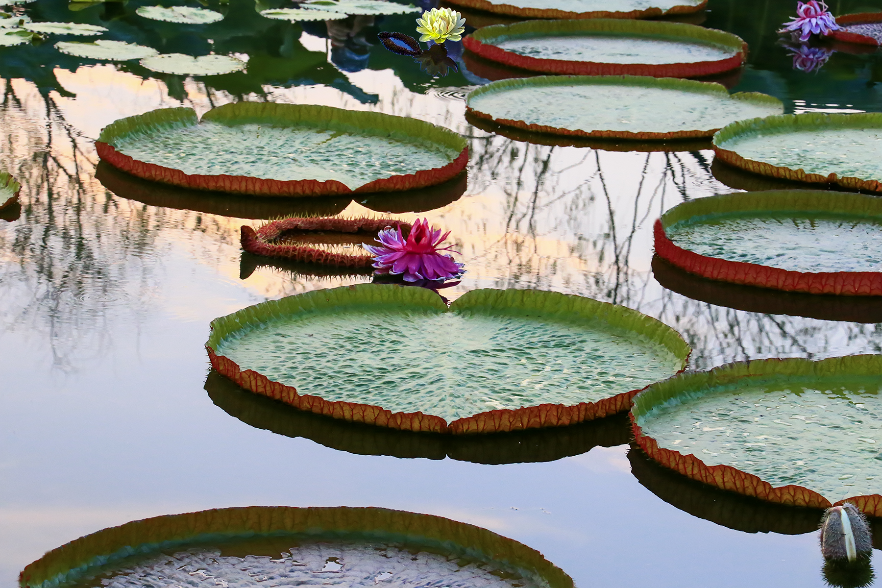 PHOTO BY ChoiJunqSeop | Canon EOS-1D X Mark II | 2024:08:30 12:26:46 | ISO-800 | 1/1600 sec | f 6.3 | 270 mm | EV=0 | ● WIDTH:1800 pixels  HEIGHT:1200 pixels