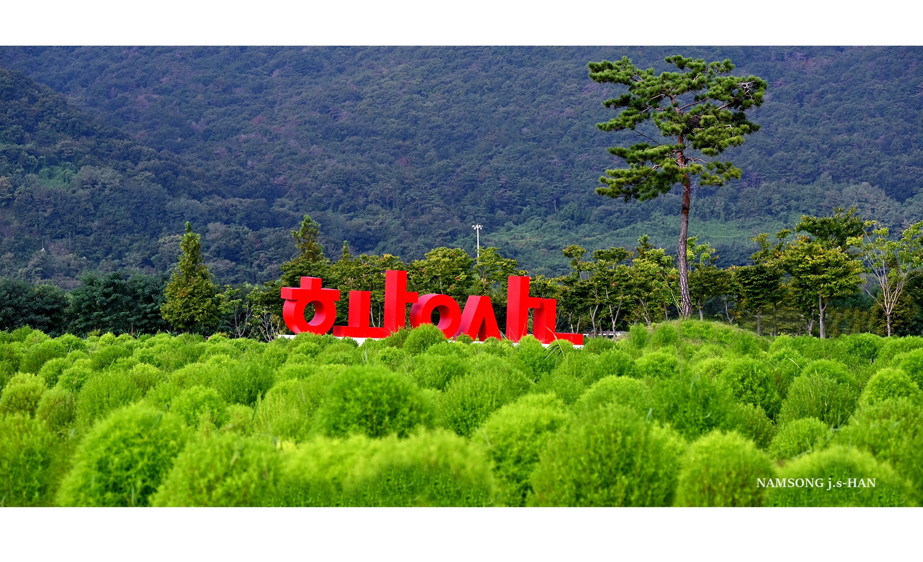 PHOTO BY  | NIKON Z 6_2 | 2024:09:02 08:16:18 | ISO-200 | 1/640 sec | f 6.3 | 100 mm | EV=-1.3 | ● WIDTH:1800 pixels  HEIGHT:900 pixels