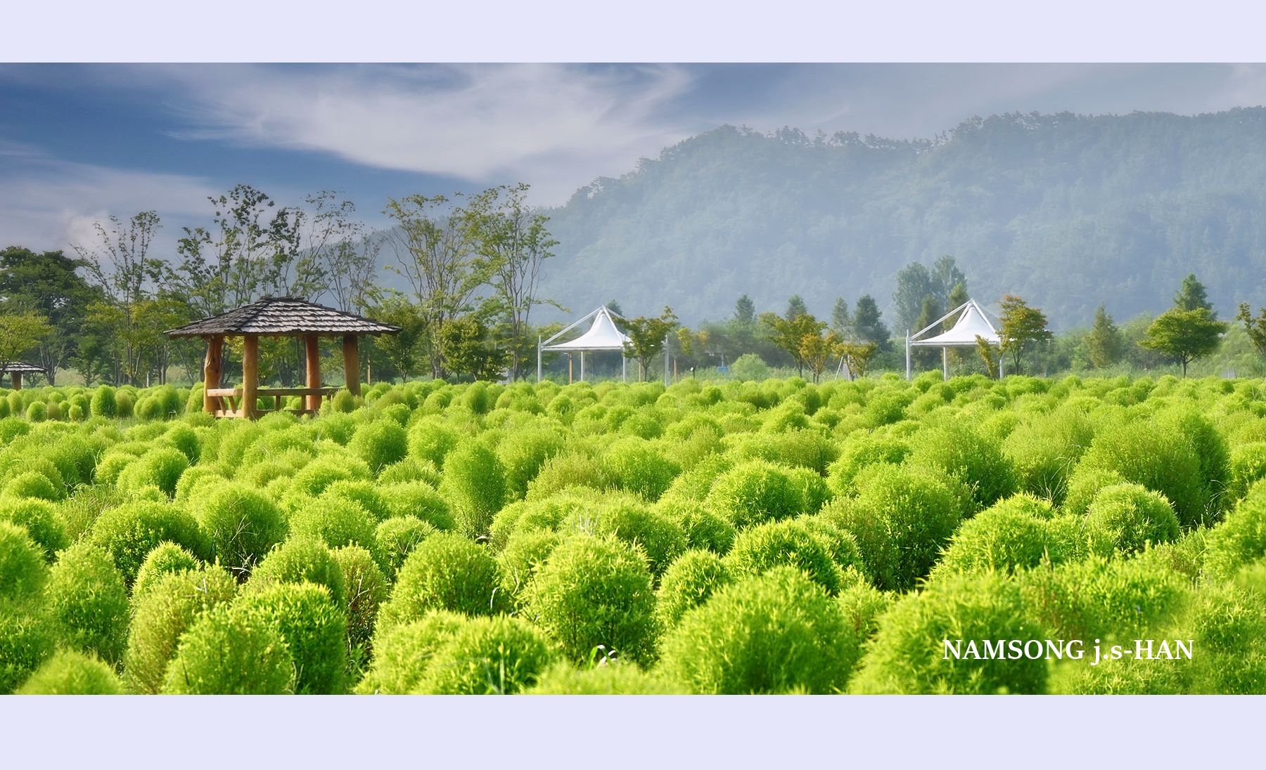 PHOTO BY  | NIKON Z 6_2 | 2024:09:02 08:37:10 | ISO-200 | 1/400 sec | f 9 | 110 mm | EV=-1.3 | ● WIDTH:1800 pixels  HEIGHT:900 pixels