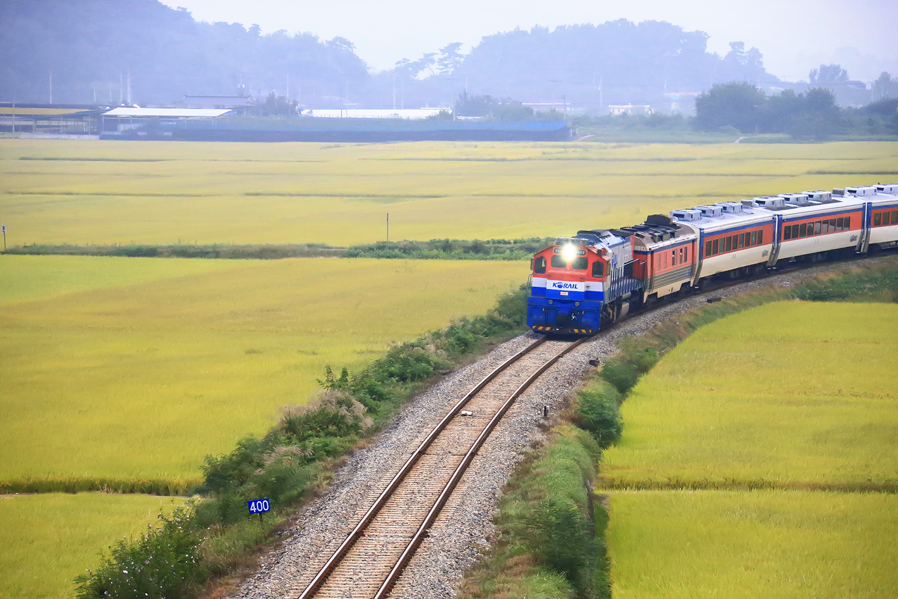 PHOTO BY ChoiJunqSeop | Canon EOS-1D X Mark II | 2024:08:30 12:26:46 | ISO-800 | 1/1600 sec | f 6.3 | 270 mm | EV=0 | ● WIDTH:1800 pixels  HEIGHT:1200 pixels