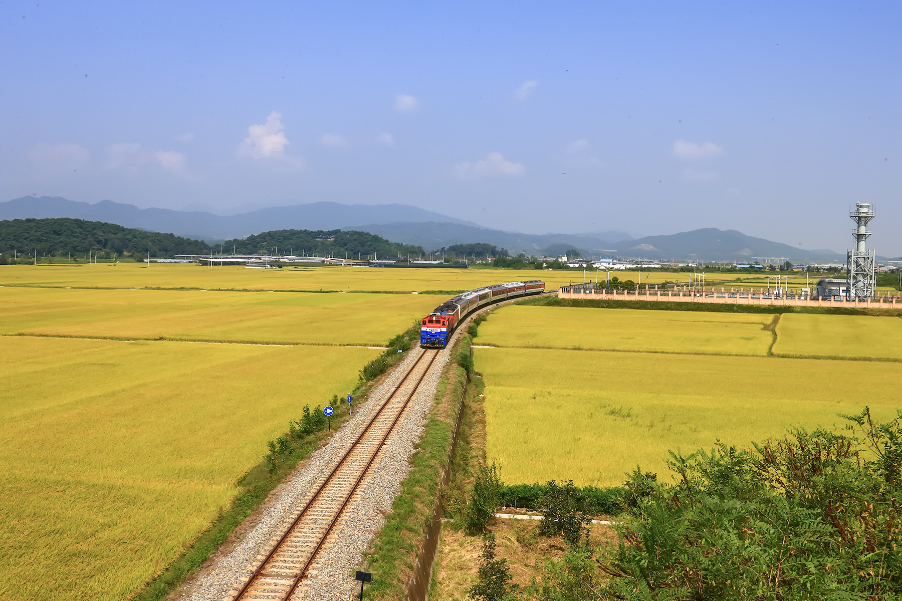 PHOTO BY ChoiJunqSeop | Canon EOS-1D X Mark II | 2024:08:30 12:26:47 | ISO-800 | 1/1600 sec | f 6.3 | 270 mm | EV=0 | ● WIDTH:1800 pixels  HEIGHT:1200 pixels