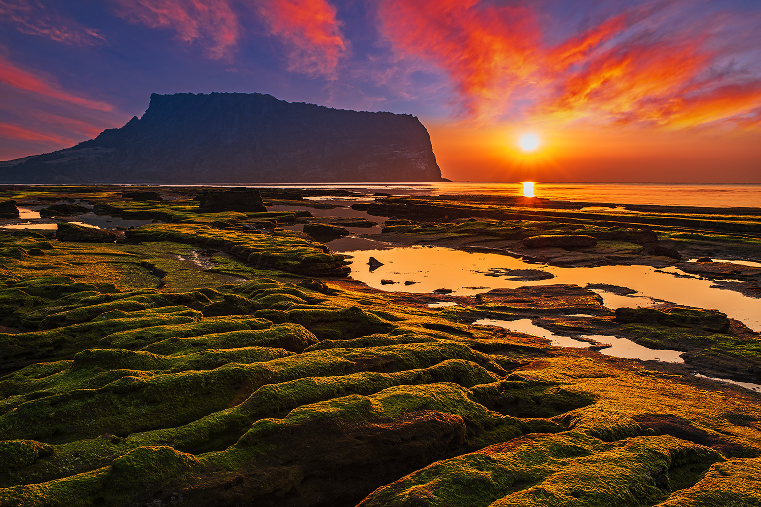 PHOTO BY  | NIKON D800 | 2016:03:28 06:41:21 | ISO-200 | 1/125 sec | f 11 | 35 mm | EV=-0.3 | ● WIDTH:1500 pixels  HEIGHT:1000 pixels