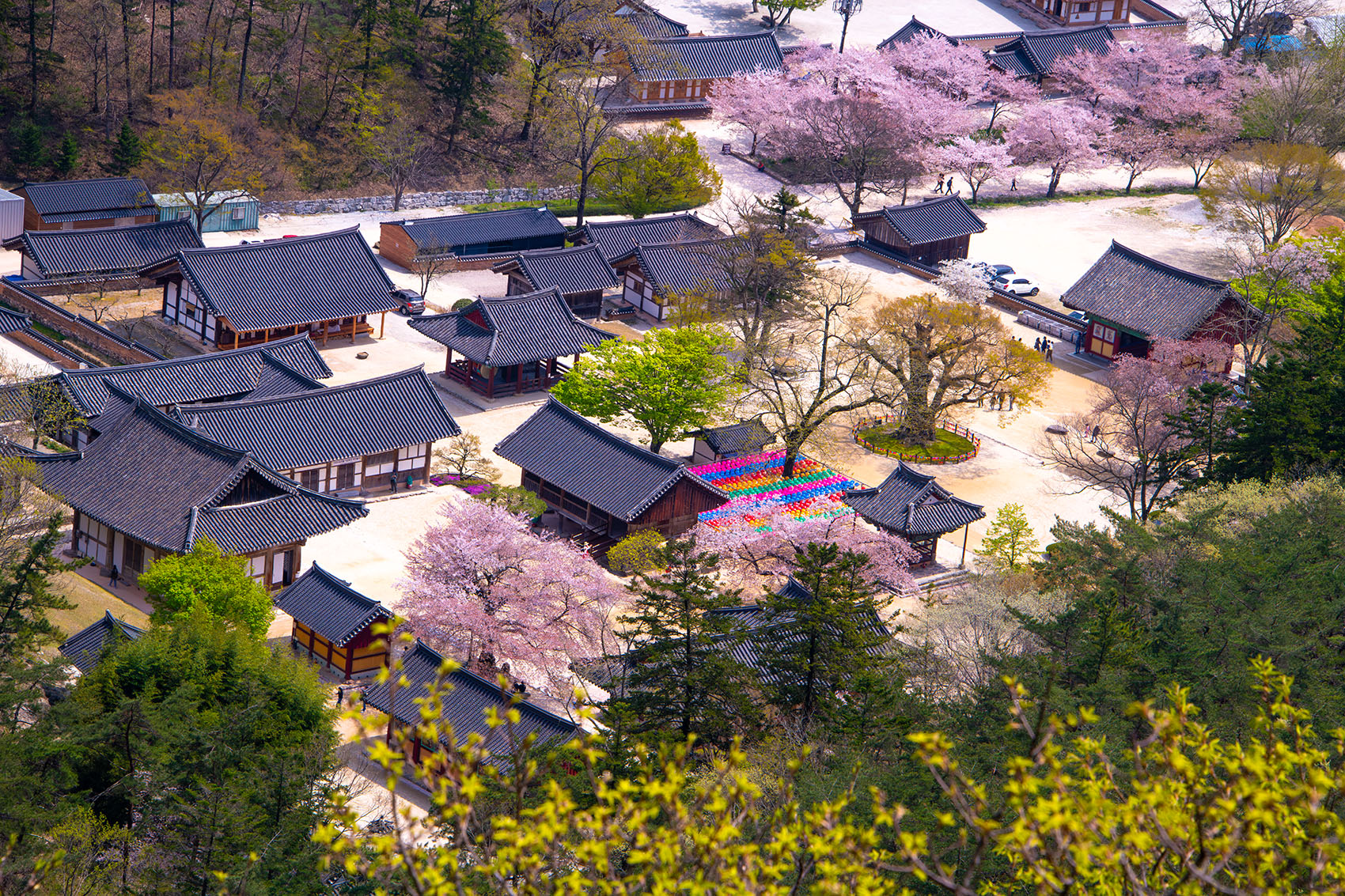 PHOTO BY  | NIKON D850 | 2024:04:10 12:12:42 | ISO-400 | 1/640 sec | f 13 | 160 mm | EV=0 | ● WIDTH:1700 pixels  HEIGHT:1133 pixels