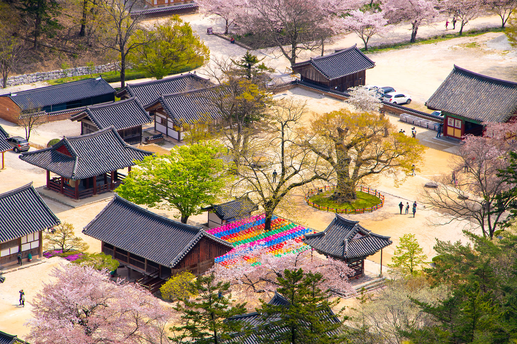 PHOTO BY  | NIKON D850 | 2024:04:10 12:13:32 | ISO-400 | 1/640 sec | f 13 | 300 mm | EV=0 | ● WIDTH:1700 pixels  HEIGHT:1133 pixels