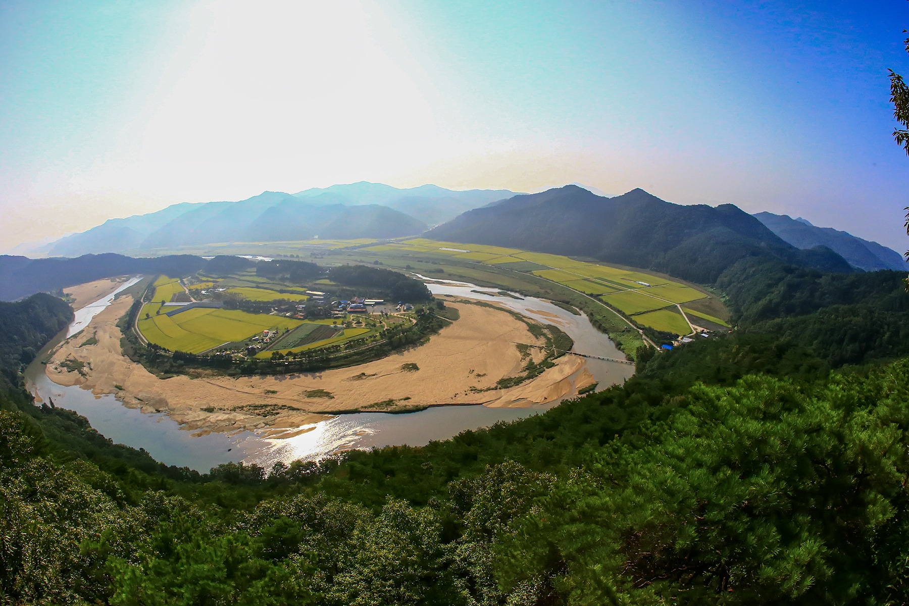 PHOTO BY ChoiJunqSeop | Canon EOS-1D X Mark II | 2024:08:30 12:26:47 | ISO-800 | 1/1600 sec | f 6.3 | 270 mm | EV=0 | ● WIDTH:1800 pixels  HEIGHT:1200 pixels