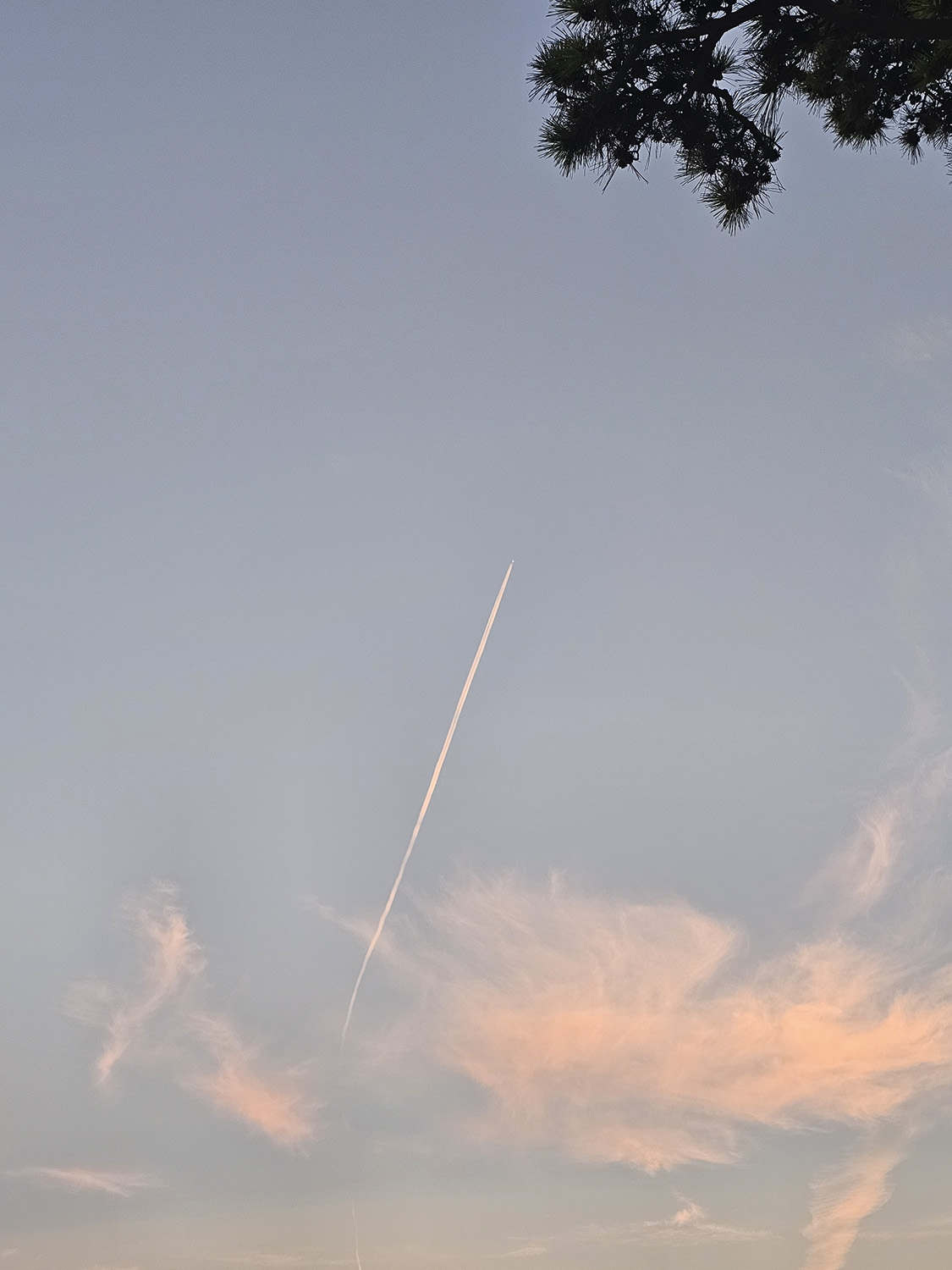 PHOTO BY  | Galaxy S23 Ultra | 2024:09:05 18:52:37 | ISO-64 | 1/60 sec | f 1.7 | 6.3 mm | EV=0 | ● WIDTH:1125 pixels  HEIGHT:1500 pixels