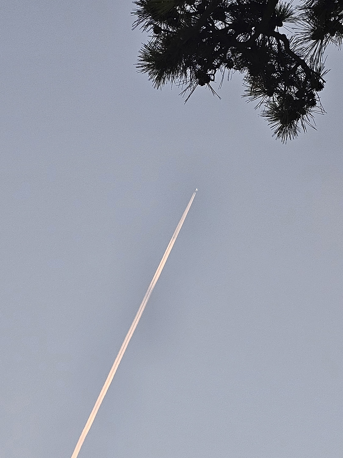 PHOTO BY  | Galaxy S23 Ultra | 2024:09:05 18:52:59 | ISO-64 | 1/60 sec | f 1.7 | 6.3 mm | EV=0 | ● WIDTH:1125 pixels  HEIGHT:1500 pixels