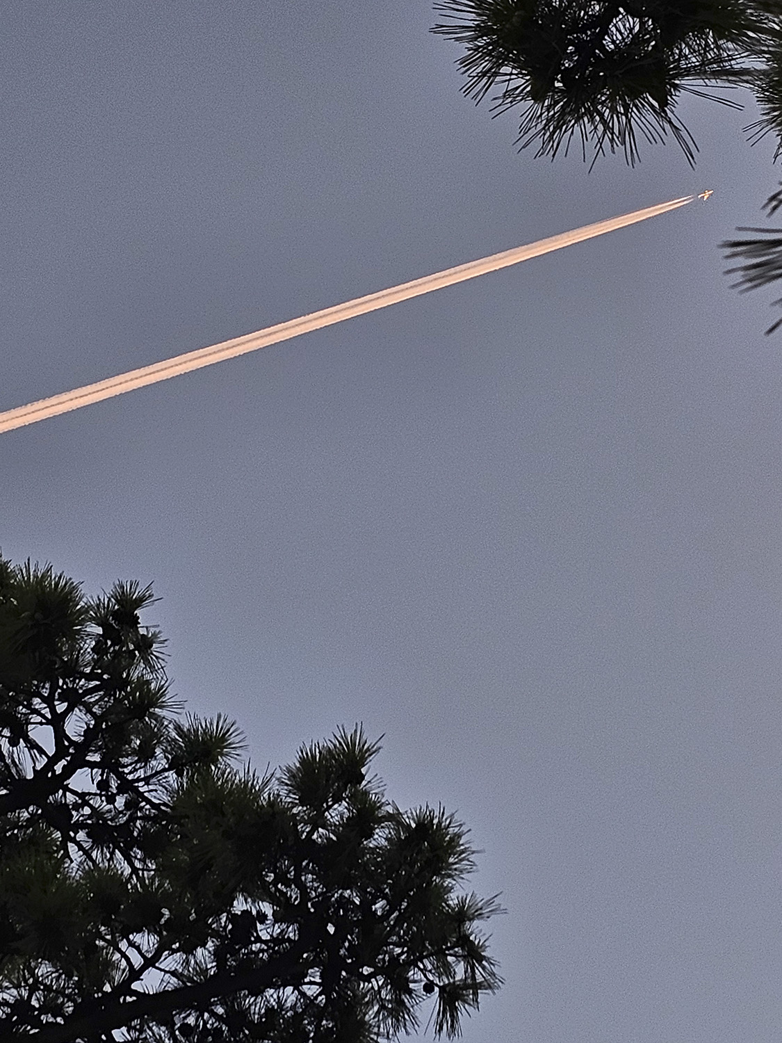 PHOTO BY  | Galaxy S23 Ultra | 2024:09:05 18:53:59 | ISO-64 | 1/60 sec | f 1.7 | 6.3 mm | EV=0 | ● WIDTH:1125 pixels  HEIGHT:1500 pixels