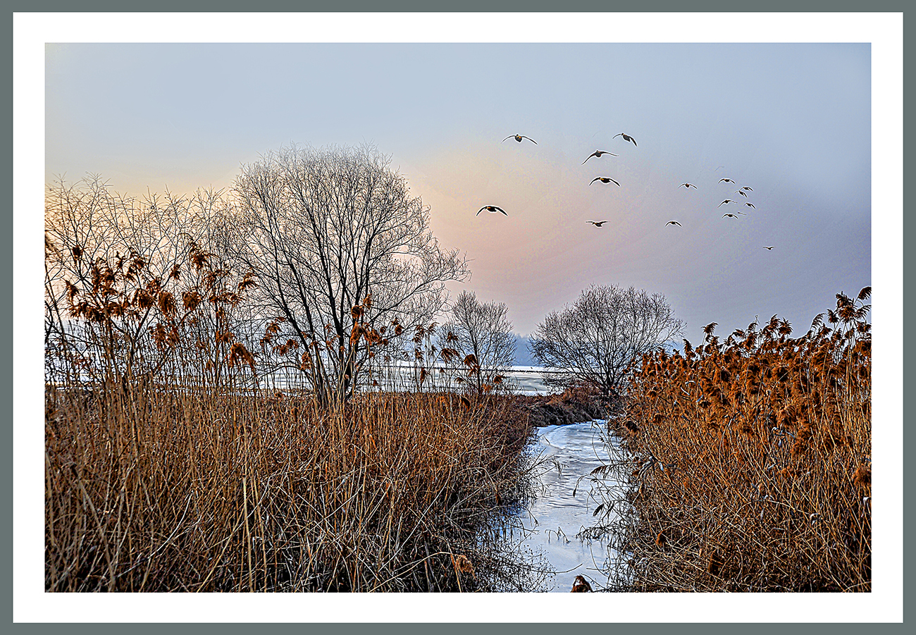 PHOTO BY  | NIKON D700 | 2009:01:17 16:41:44 | ISO-500 | 1/500 sec | f 9 | 42 mm | EV=0 | ● WIDTH:1300 pixels  HEIGHT:901 pixels