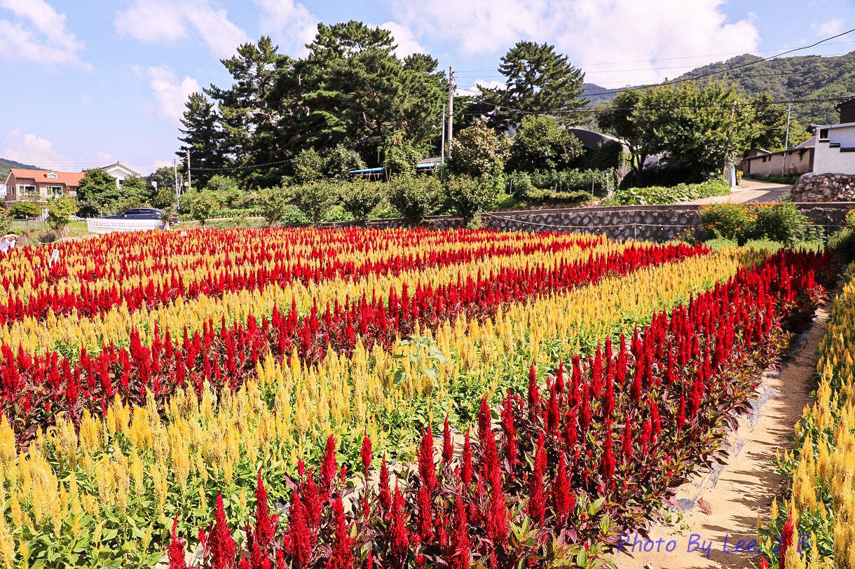 PHOTO BY  | Canon EOS 5D Mark IV | 2024:08:17 10:33:03 | ISO-200 | 1/640 sec | f 5.6 | 24 mm | EV=0 | ● WIDTH:1220 pixels  HEIGHT:812 pixels