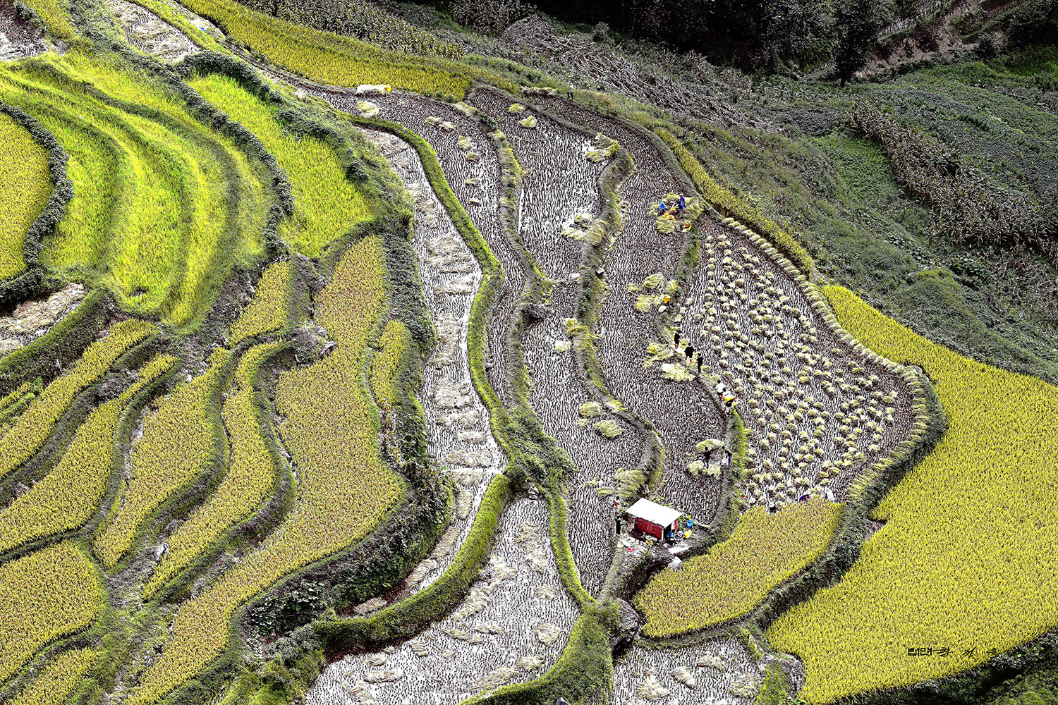 PHOTO BY  | KON CORPORA |  | ISO- |  |  |  | EV=0 | ● WIDTH:  HEIGHT: