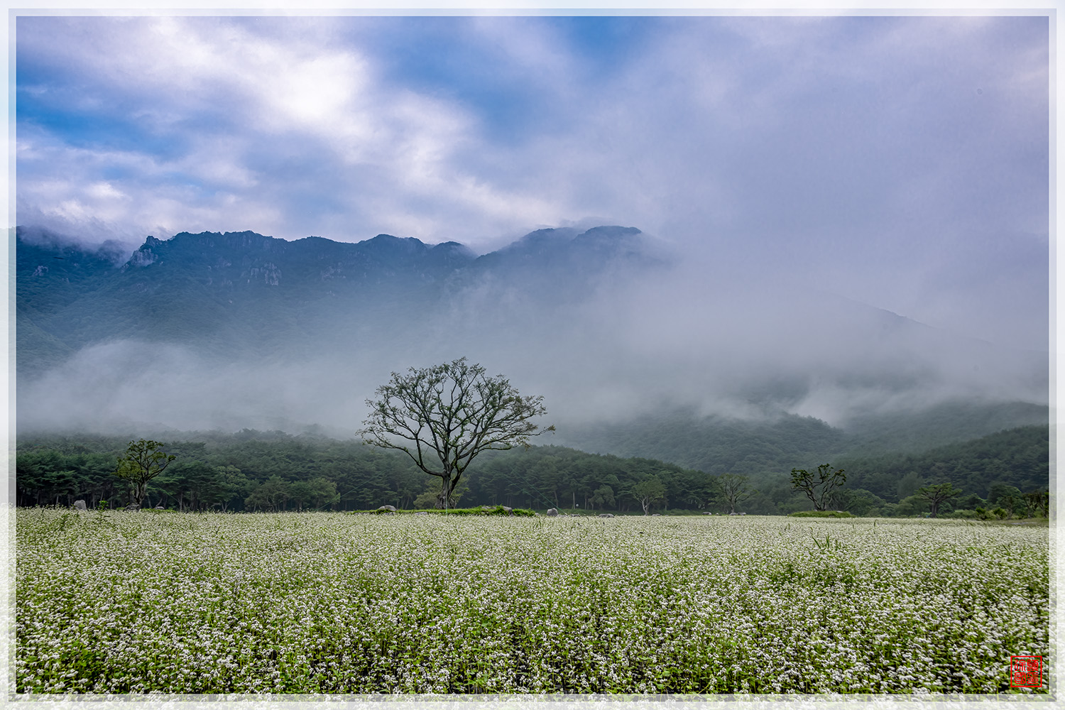 PHOTO BY  | NIKON D850 | 2024:09:09 06:35:09 | ISO-100 | 1/10 sec | f 13 | 36 mm | EV=0.3 | ● WIDTH:1500 pixels  HEIGHT:1000 pixels