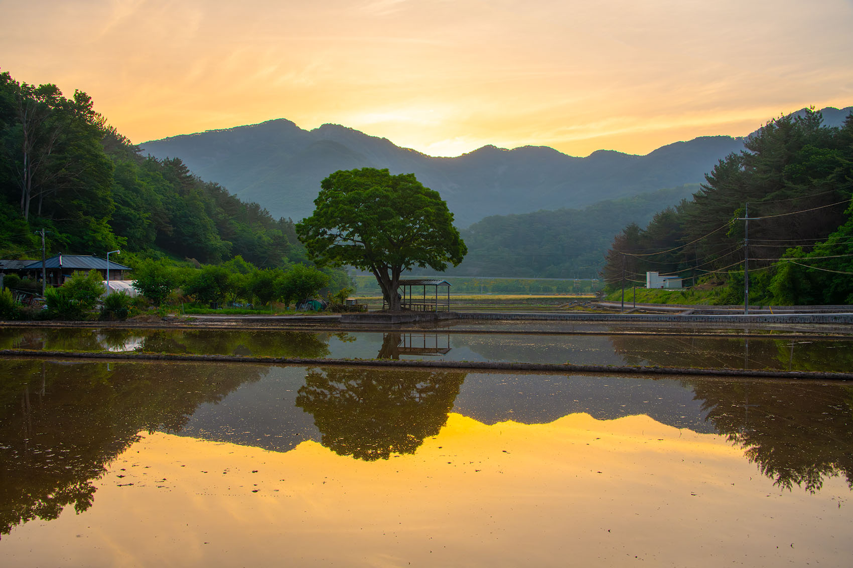 PHOTO BY  | NIKON D850 | 2024:05:26 05:17:39 | ISO-400 | 1/160 sec | f 11 | 35 mm | EV=0 | ● WIDTH:1700 pixels  HEIGHT:1133 pixels