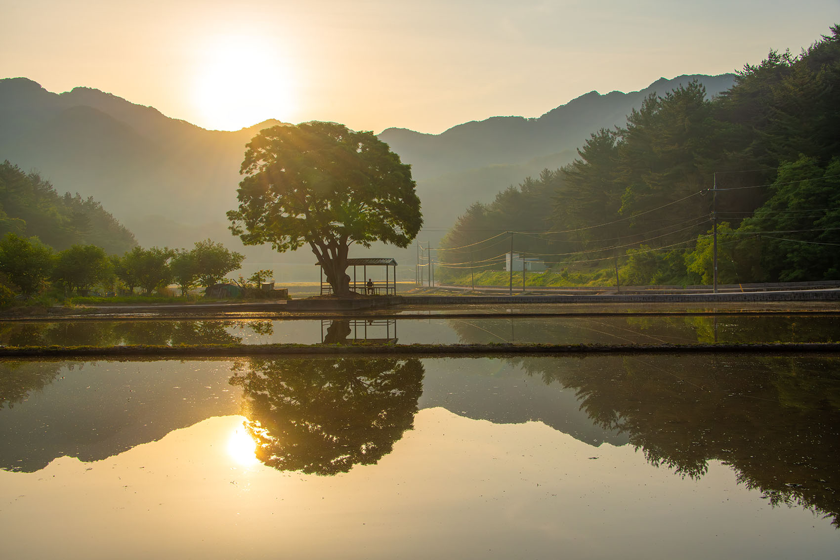 PHOTO BY  | NIKON D850 | 2024:05:26 05:56:18 | ISO-400 | 1/800 sec | f 13 | 40 mm | EV=0 | ● WIDTH:1700 pixels  HEIGHT:1133 pixels