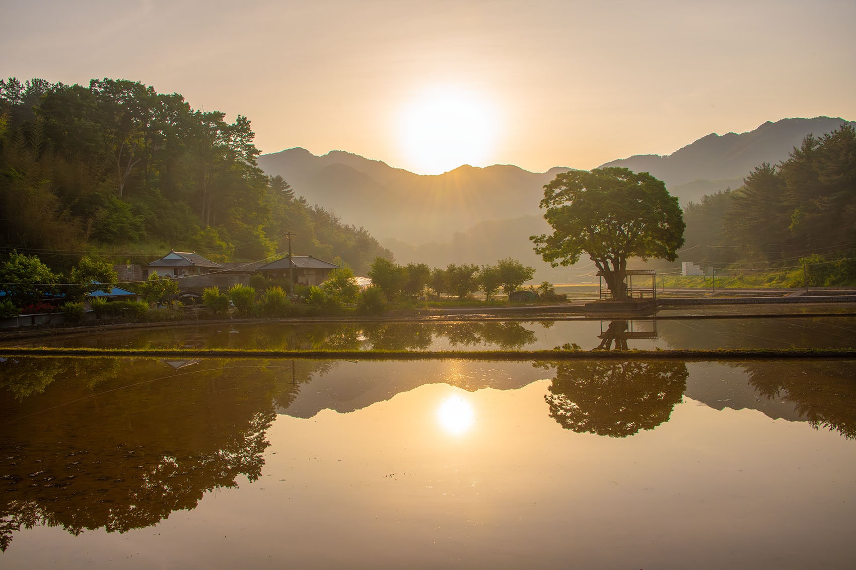 PHOTO BY  | NIKON D850 | 2024:05:26 06:00:22 | ISO-400 | 1/800 sec | f 13 | 28 mm | EV=0 | ● WIDTH:1700 pixels  HEIGHT:1133 pixels