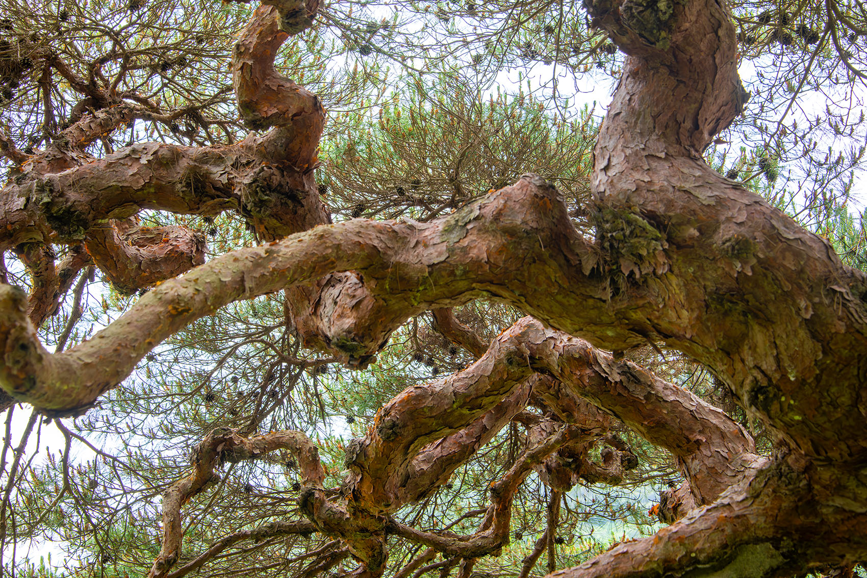 PHOTO BY  | NIKON D850 | 2024:05:26 12:36:28 | ISO-400 | 1/250 sec | f 6.3 | 72 mm | EV=0 | ● WIDTH:1700 pixels  HEIGHT:1133 pixels