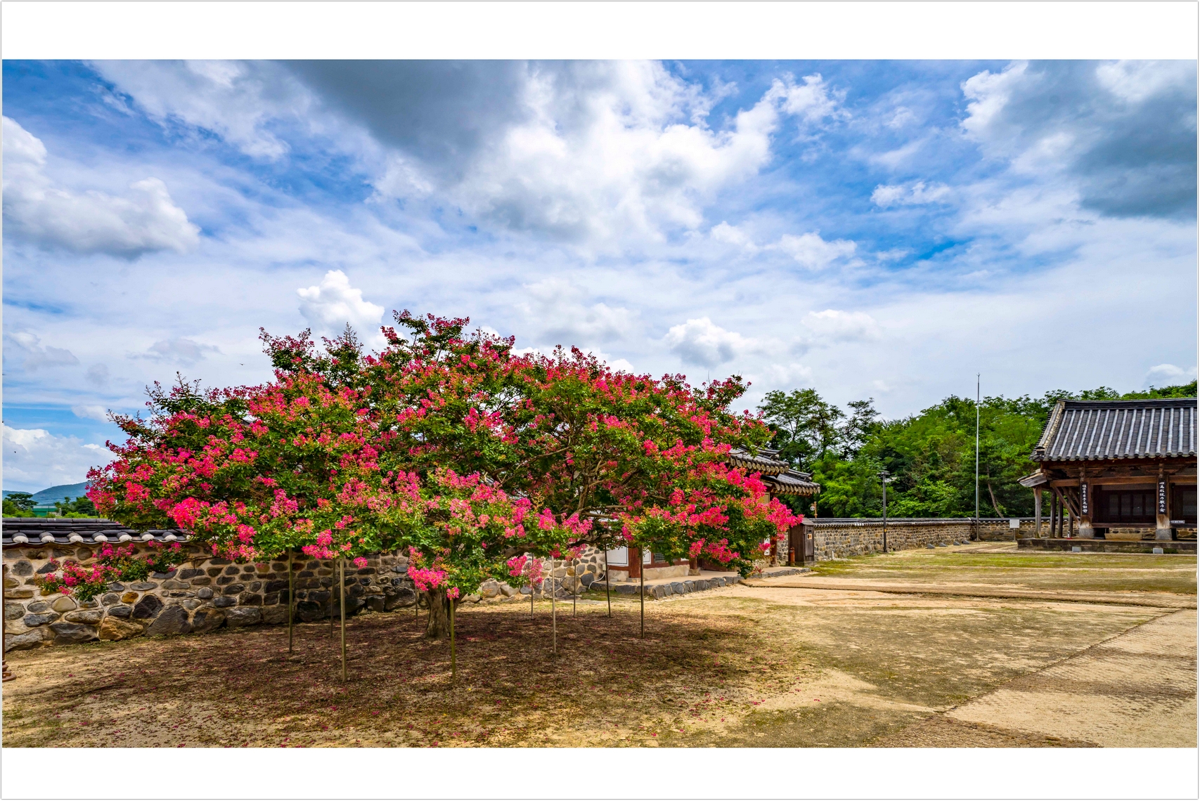 PHOTO BY  | ILCE-7RM4 | 2024:07:25 12:57:13 | ISO-100 | 1/640 sec | f 10 | 18 mm | EV=0 | ● WIDTH:1707 pixels  HEIGHT:1140 pixels