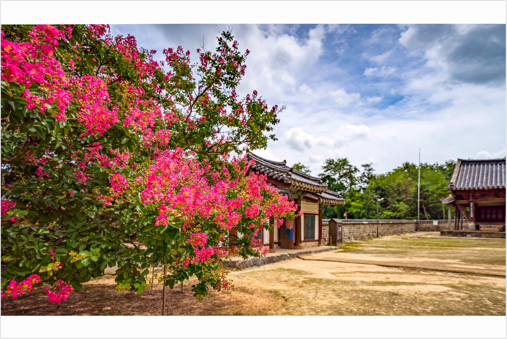 PHOTO BY  | ILCE-7RM4 | 2024:07:25 12:57:28 | ISO-100 | 1/8000 sec | f 4 | 18 mm | EV=0 | ● WIDTH:1707 pixels  HEIGHT:1140 pixels