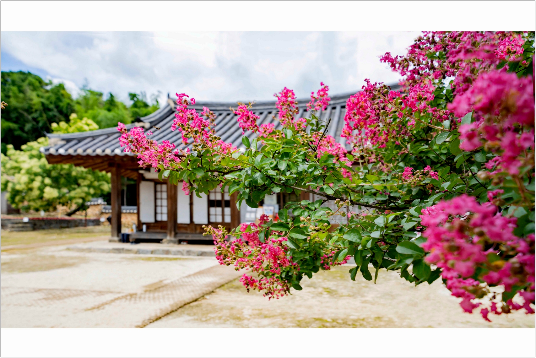 PHOTO BY  | ILCE-7RM4 | 2024:07:25 12:59:11 | ISO-100 | 1/1250 sec | f 4 | 24 mm | EV=0 | ● WIDTH:1707 pixels  HEIGHT:1140 pixels