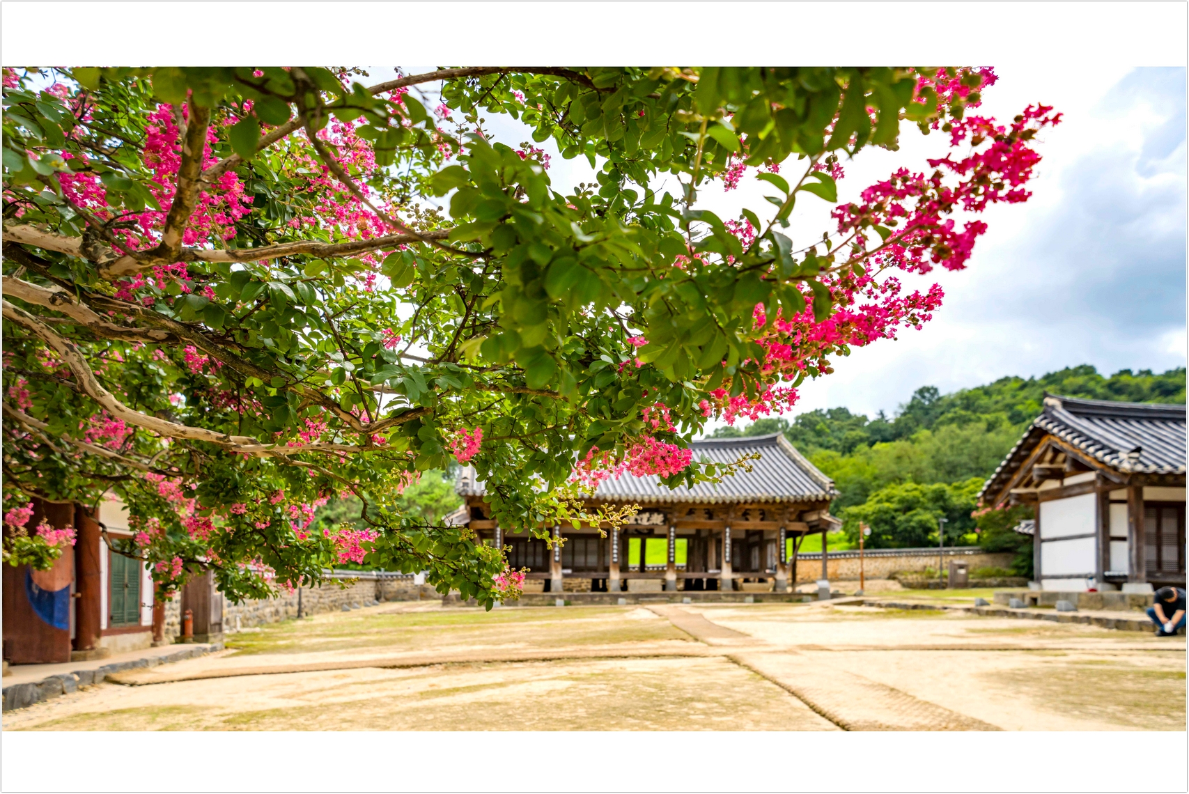 PHOTO BY  | ILCE-7RM4 | 2024:07:25 12:59:37 | ISO-100 | 1/1250 sec | f 4 | 24 mm | EV=0 | ● WIDTH:1707 pixels  HEIGHT:1140 pixels