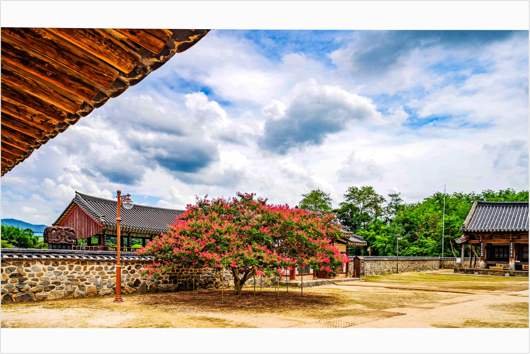 PHOTO BY  | ILCE-7RM4 | 2024:07:25 13:01:18 | ISO-100 | 1/1250 sec | f 4 | 24 mm | EV=0 | ● WIDTH:1707 pixels  HEIGHT:1140 pixels