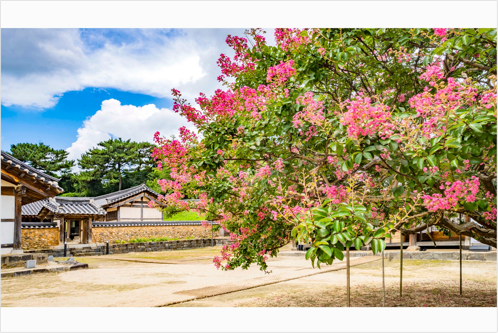 PHOTO BY  | ILCE-7RM4 | 2024:07:25 13:04:57 | ISO-100 | 1/80 sec | f 10 | 24 mm | EV=0 | ● WIDTH:1707 pixels  HEIGHT:1140 pixels