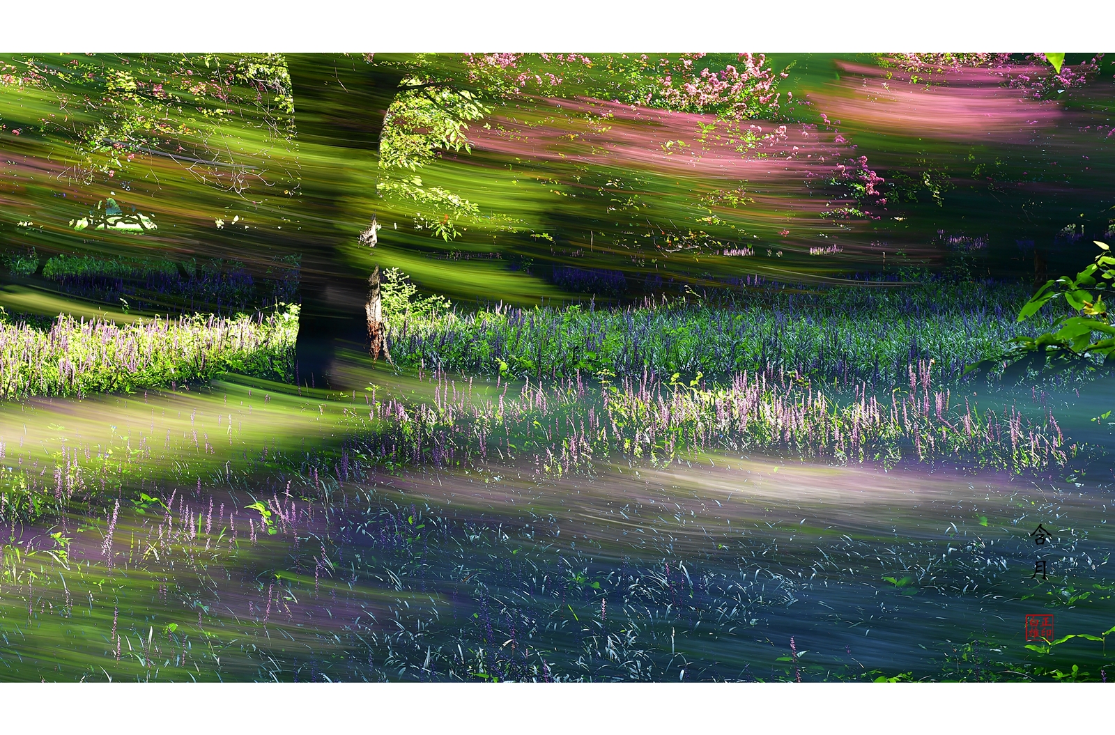 PHOTO BY Hamwuel Baek | NIKON D5 | 2024:08:13 07:36:24 | ISO-100 | 7692307/100000000 sec | f 11 | 66 mm | EV=0 | ● WIDTH:4878 pixels  HEIGHT:2757 pixels