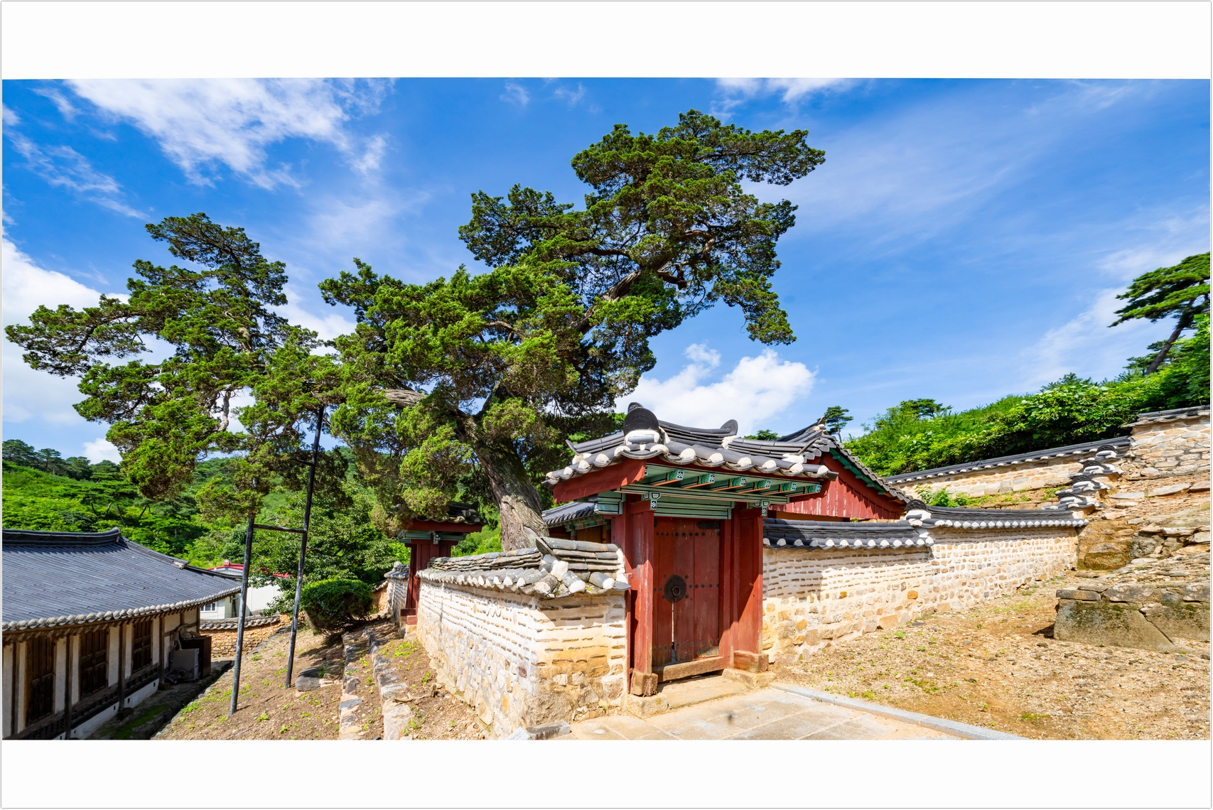 PHOTO BY  | ILCE-7RM4 | 2024:07:25 09:58:36 | ISO-100 | 1/250 sec | f 10 | 13 mm | EV=0 | ● WIDTH:1707 pixels  HEIGHT:1140 pixels