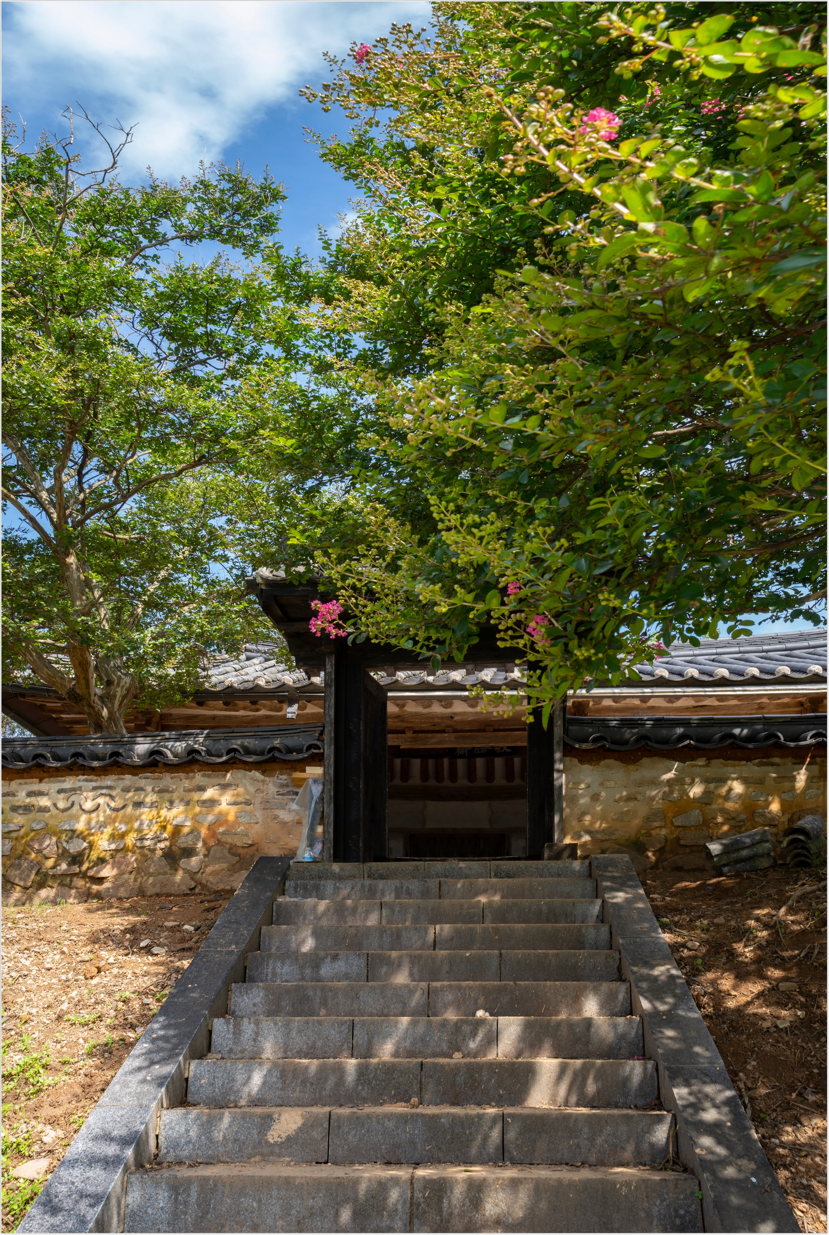 PHOTO BY  | ILCE-7RM4 | 2024:07:25 10:03:41 | ISO-100 | 1/30 sec | f 10 | 24 mm | EV=0 | ● WIDTH:1707 pixels  HEIGHT:2543 pixels