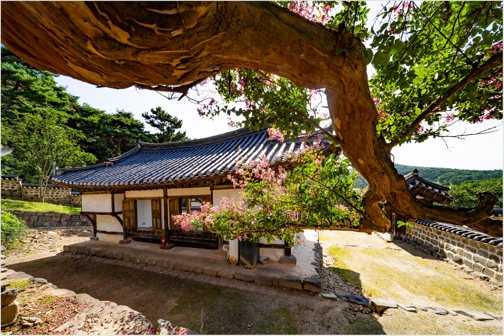 PHOTO BY  | ILCE-7RM4 | 2024:07:25 08:50:58 | ISO-100 | 1/125 sec | f 11 | 12 mm | EV=0 | ● WIDTH:1707 pixels  HEIGHT:1140 pixels