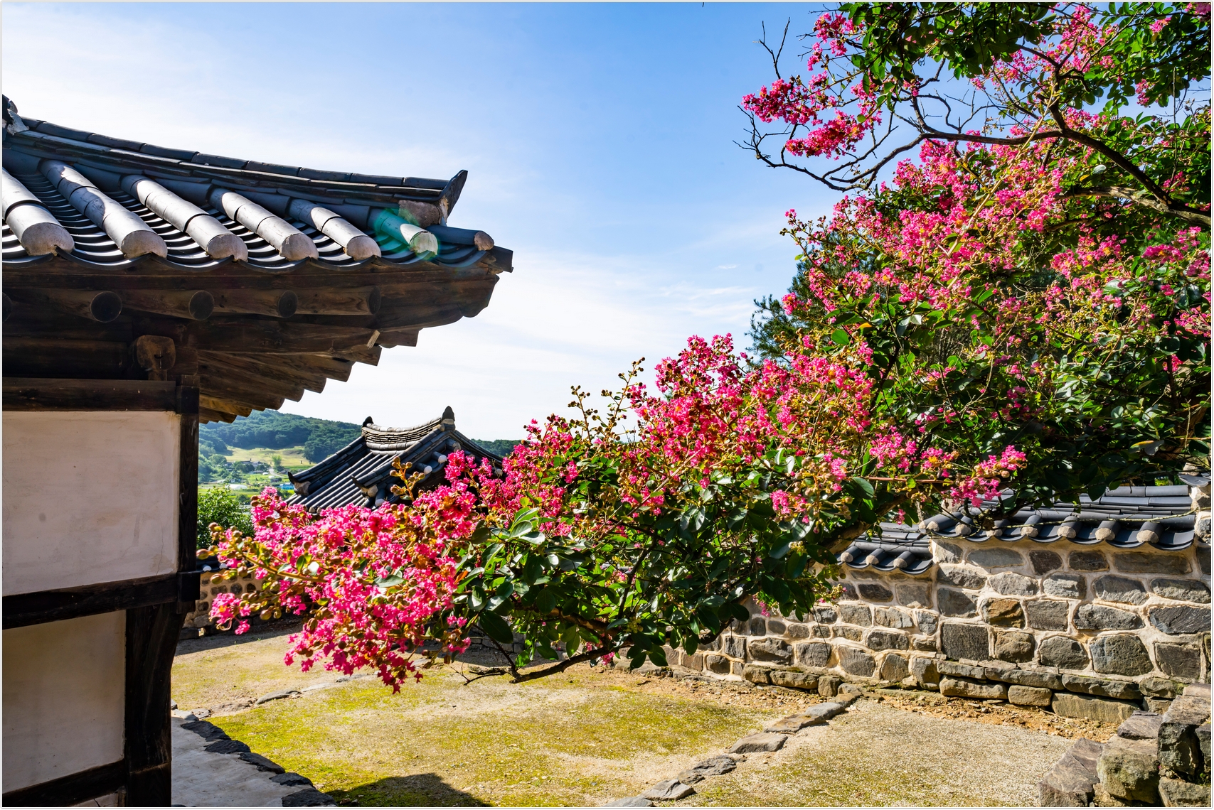 PHOTO BY  | ILCE-7RM4 | 2024:07:25 08:48:10 | ISO-100 | 1/125 sec | f 11 | 24 mm | EV=0 | ● WIDTH:1707 pixels  HEIGHT:1140 pixels