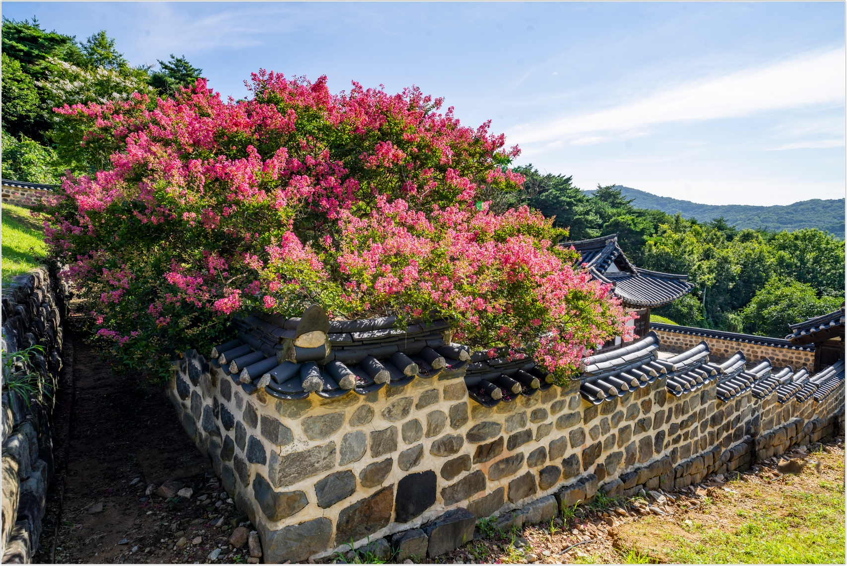 PHOTO BY  | ILCE-7RM4 | 2024:07:25 09:03:51 | ISO-100 | 1/160 sec | f 10 | 20 mm | EV=0 | ● WIDTH:1707 pixels  HEIGHT:1140 pixels