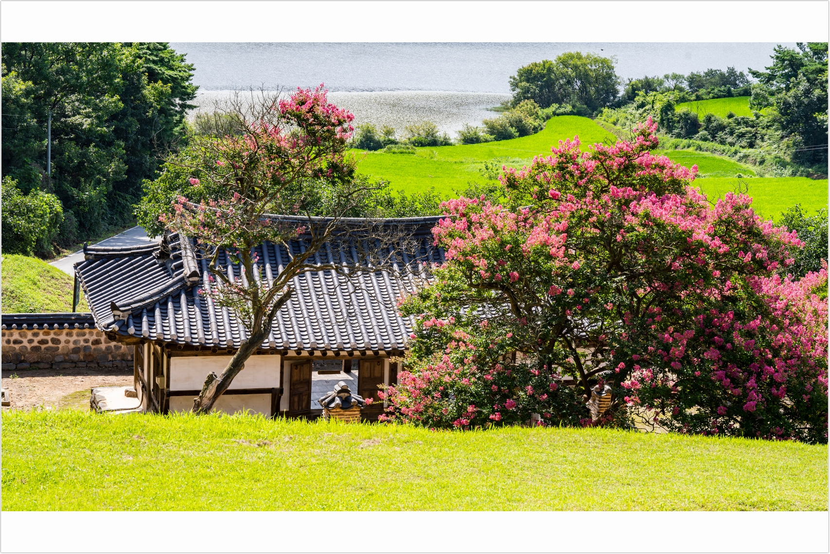 PHOTO BY  | ILCE-7RM4 | 2024:07:25 09:19:55 | ISO-100 | 1/250 sec | f 10 | 84 mm | EV=0 | ● WIDTH:1707 pixels  HEIGHT:1140 pixels