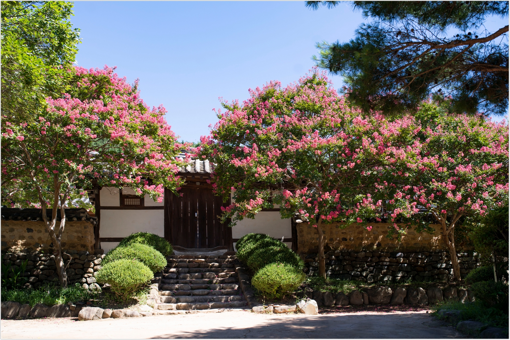 PHOTO BY  | ILCE-7RM4 | 2024:07:31 10:26:46 | ISO-100 | 1/640 sec | f 5 | 35 mm | EV=0 | ● WIDTH:1707 pixels  HEIGHT:1140 pixels