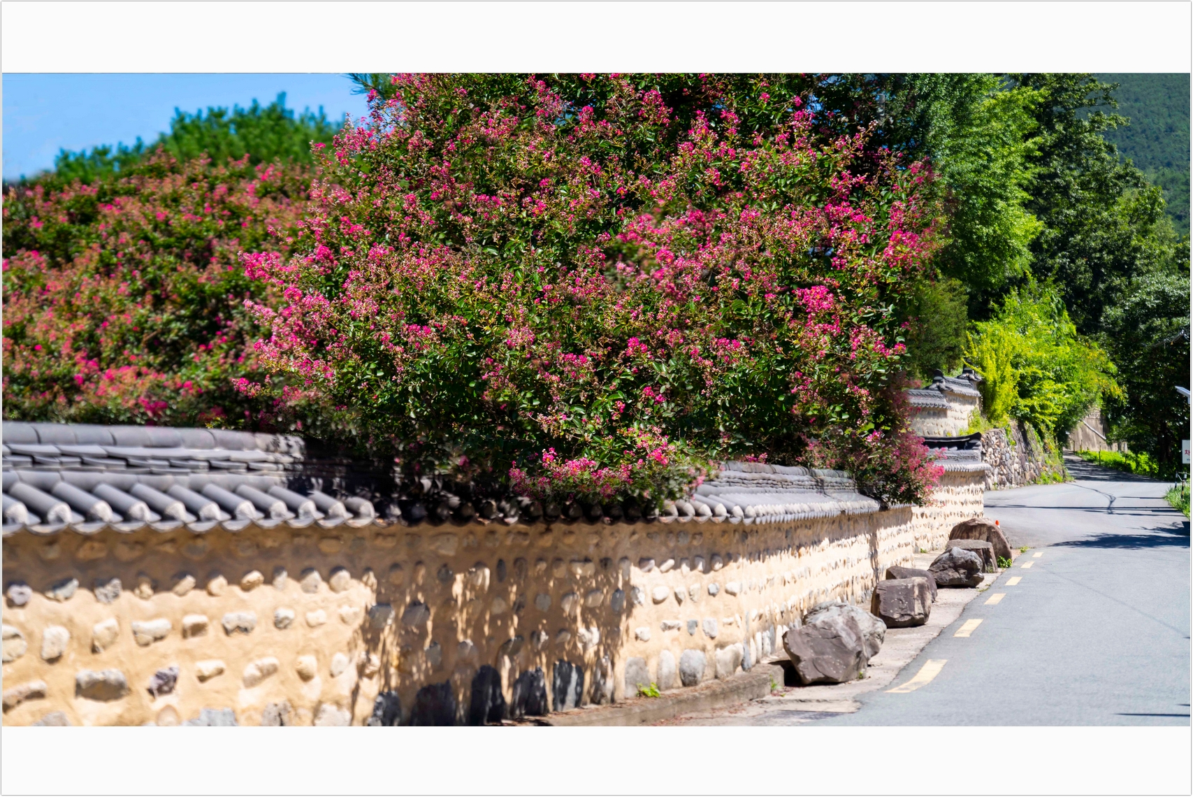 PHOTO BY  | ILCE-7RM4 | 2024:07:31 10:51:43 | ISO-100 | 1/5000 sec | f 2.8 | 94 mm | EV=0 | ● WIDTH:1707 pixels  HEIGHT:1140 pixels