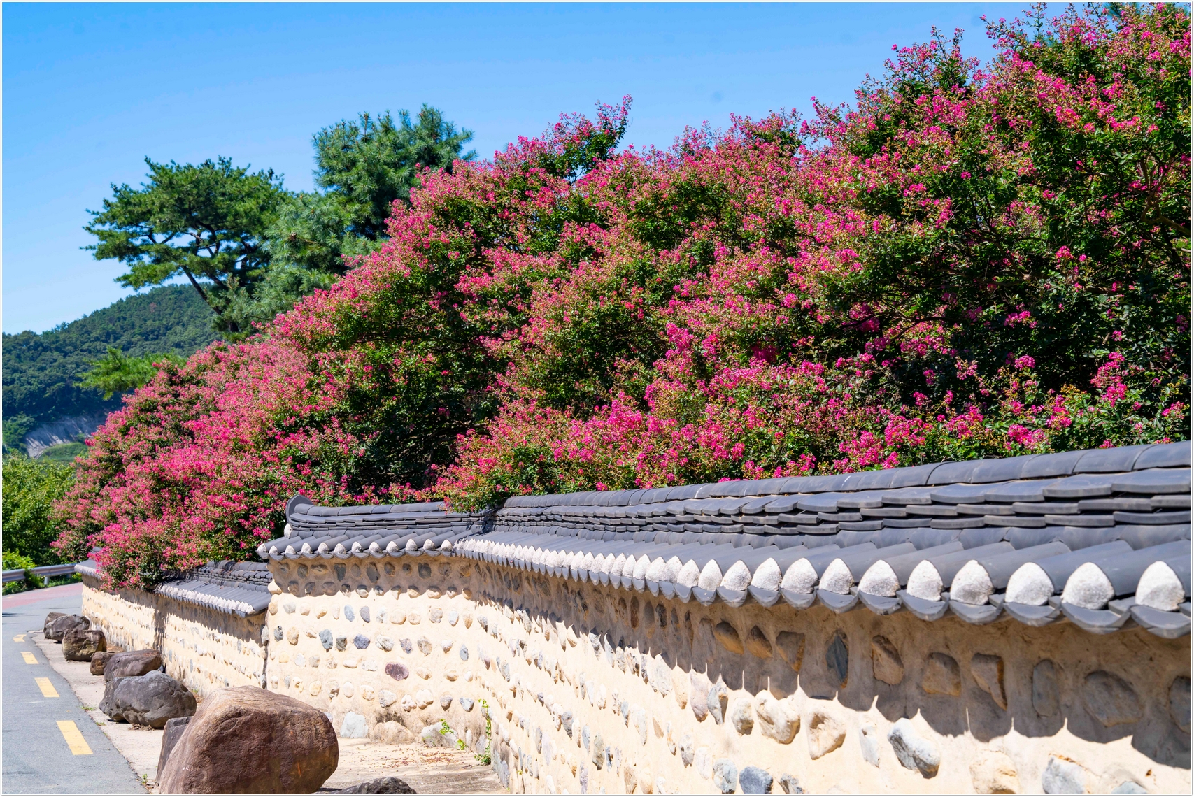 PHOTO BY  | ILCE-7RM4 | 2024:07:31 10:48:50 | ISO-100 | 1/500 sec | f 10 | 68 mm | EV=0 | ● WIDTH:1707 pixels  HEIGHT:1140 pixels