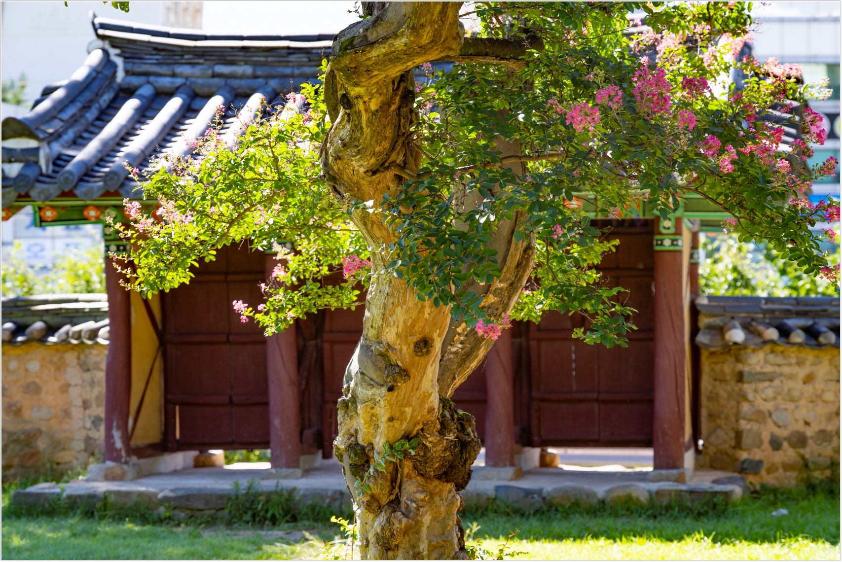 PHOTO BY  | ILCE-7RM4 | 2024:07:31 09:51:54 | ISO-100 | 1/500 sec | f 5.6 | 92 mm | EV=0 | ● WIDTH:1707 pixels  HEIGHT:1140 pixels