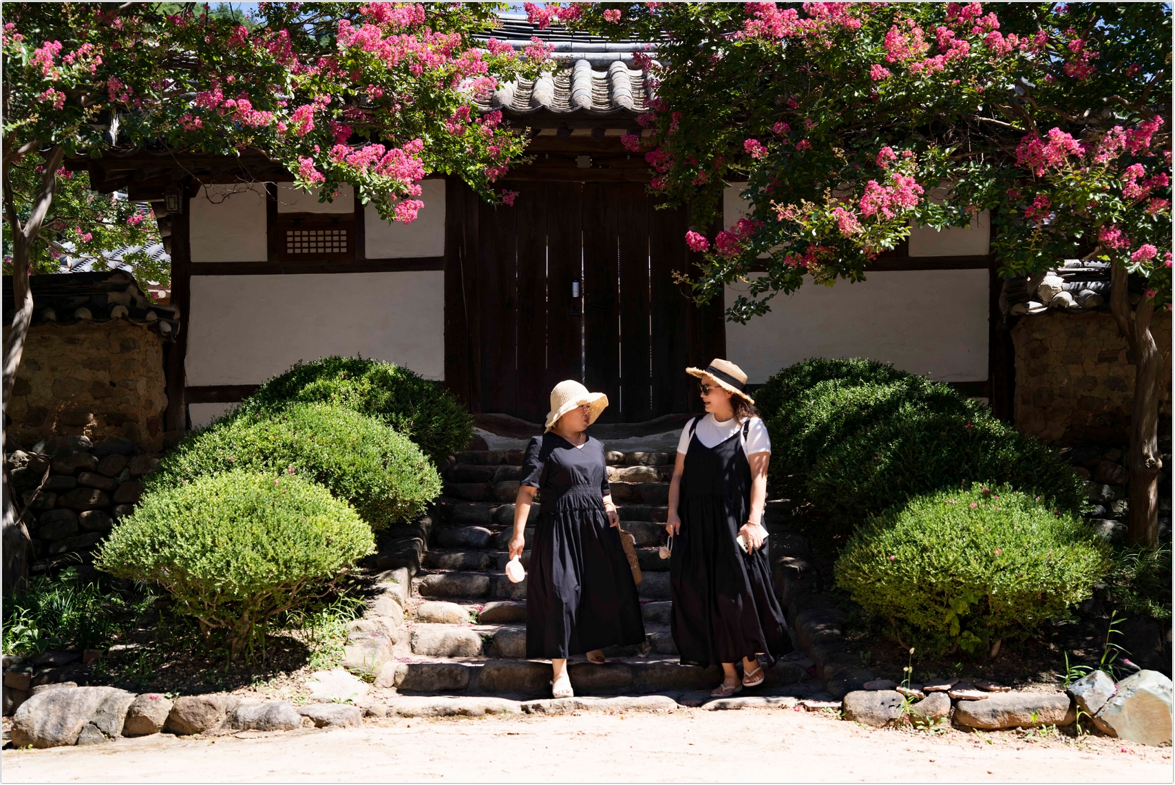 PHOTO BY  | ILCE-7RM4 | 2024:07:31 10:39:21 | ISO-100 | 1/1000 sec | f 5 | 53 mm | EV=0 | ● WIDTH:1707 pixels  HEIGHT:1140 pixels