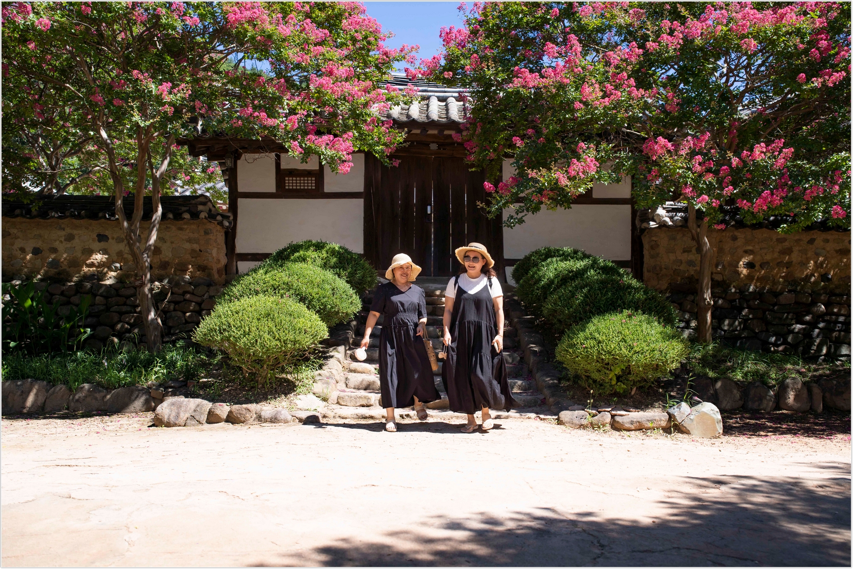 PHOTO BY  | ILCE-7RM4 | 2024:07:31 10:39:22 | ISO-100 | 1/1000 sec | f 5 | 35 mm | EV=0 | ● WIDTH:1707 pixels  HEIGHT:1140 pixels