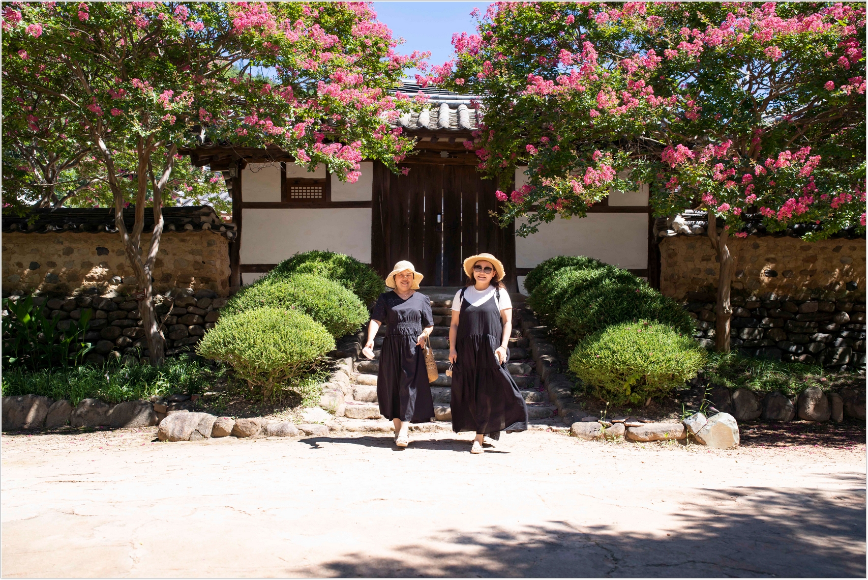 PHOTO BY  | ILCE-7RM4 | 2024:07:31 10:39:23 | ISO-100 | 1/1000 sec | f 5 | 35 mm | EV=0 | ● WIDTH:1707 pixels  HEIGHT:1140 pixels