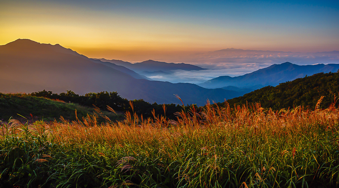 PHOTO BY  | NIKON D810 | 2024:09:10 06:31:00 | ISO-100 | 1/320 sec | f 8 | 30 mm | EV=-2.7 | ● WIDTH:1400 pixels  HEIGHT:777 pixels