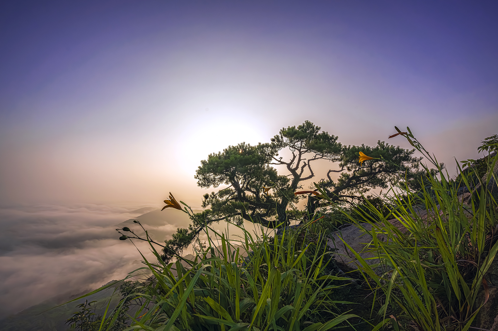 PHOTO BY  | NIKON Z 7_2 | 2024:08:09 06:47:22 | ISO-100 | 1/1600 sec | f 11 | 14 mm | EV=0 | ● WIDTH:1700 pixels  HEIGHT:1129 pixels