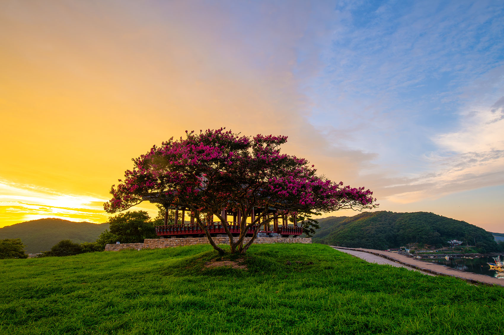 PHOTO BY  | NIKON D850 | 2024:08:06 19:00:54 | ISO-100 | 1/50 sec | f 9 | 19 mm | EV=0 | ● WIDTH:1700 pixels  HEIGHT:1133 pixels