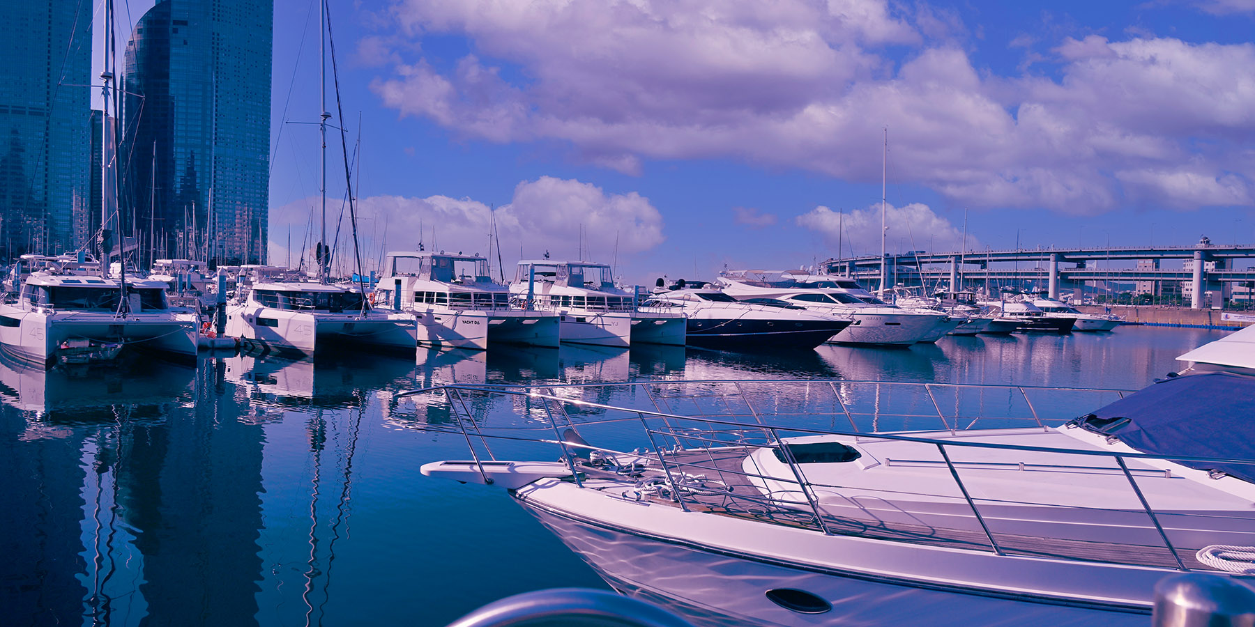 PHOTO BY  | NIKON Z 6_2 | 2024:09:05 08:20:26 | ISO-100 | 1/640 sec | f 10 | 24 mm | EV=-1.3 | ● WIDTH:1800 pixels  HEIGHT:900 pixels